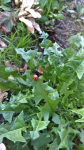 WP_20140916_14_02_11_Pro20140917183338