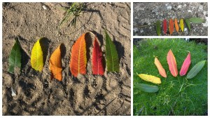 Copyright by "Sofies viele Welten"