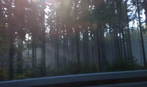 WP_20141101_08_55_16_Pro20141101192539