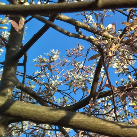 Copyright by "Sofies viele Welten"