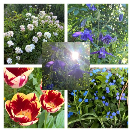 Copyright by "Sofies viele Welten"