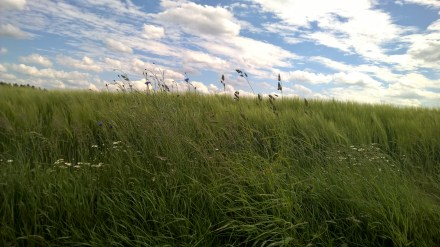 Copyright by "Sofies viele Welten"