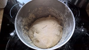 Copyright by "Sofies viele Welten"