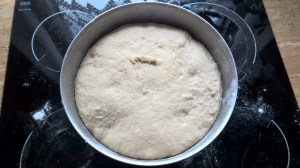 Copyrigth by "Sofies viele Welten"