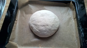 Copyright by "Sofies viele Welten"