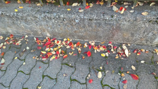 Copyright by "Sofies viele Welten"