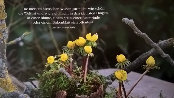 WP_20160218_09_09_05_Pro