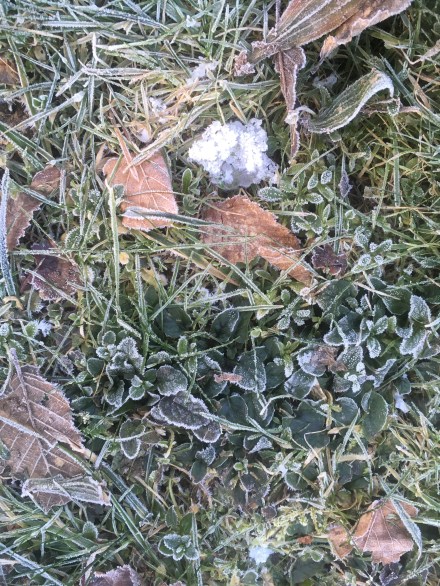 B0D0808F-484E-41E1-B56B-F8E0DEA4F559