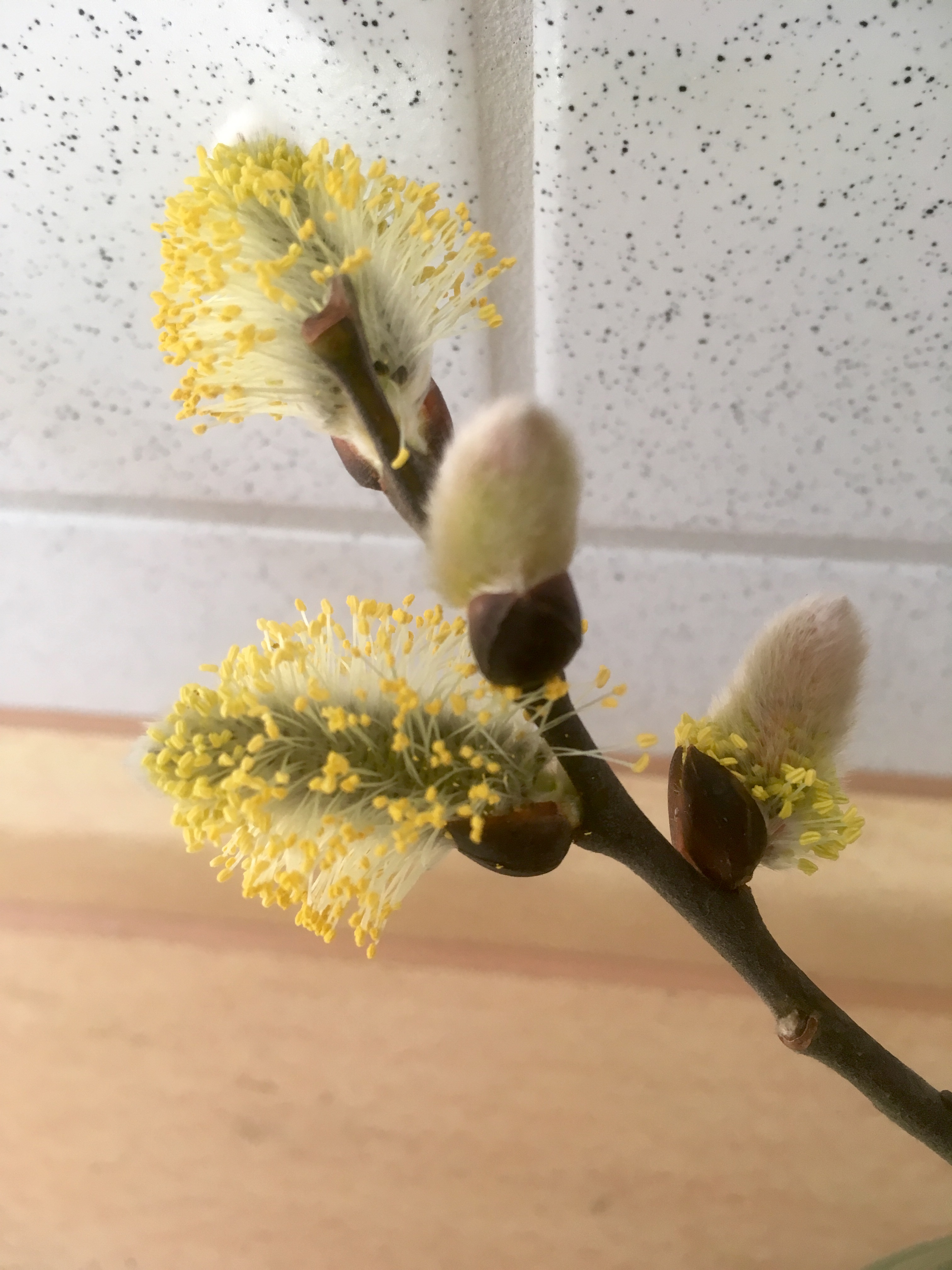 C2B563A0-1586-4957-ADFD-CFA7DACC8438