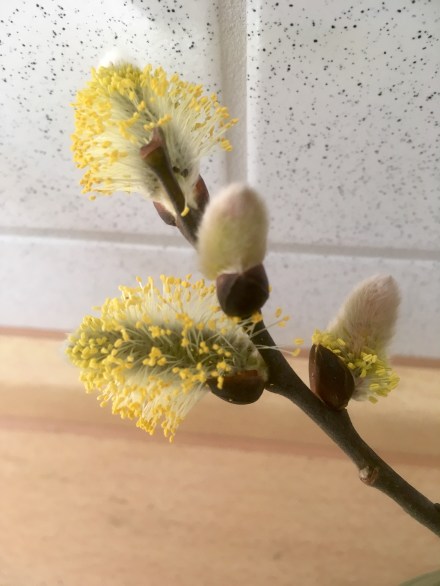 C2B563A0-1586-4957-ADFD-CFA7DACC8438