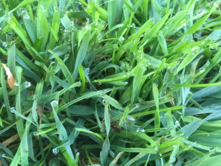 526CBA0A-D369-44B7-8EEE-343C78CE6660