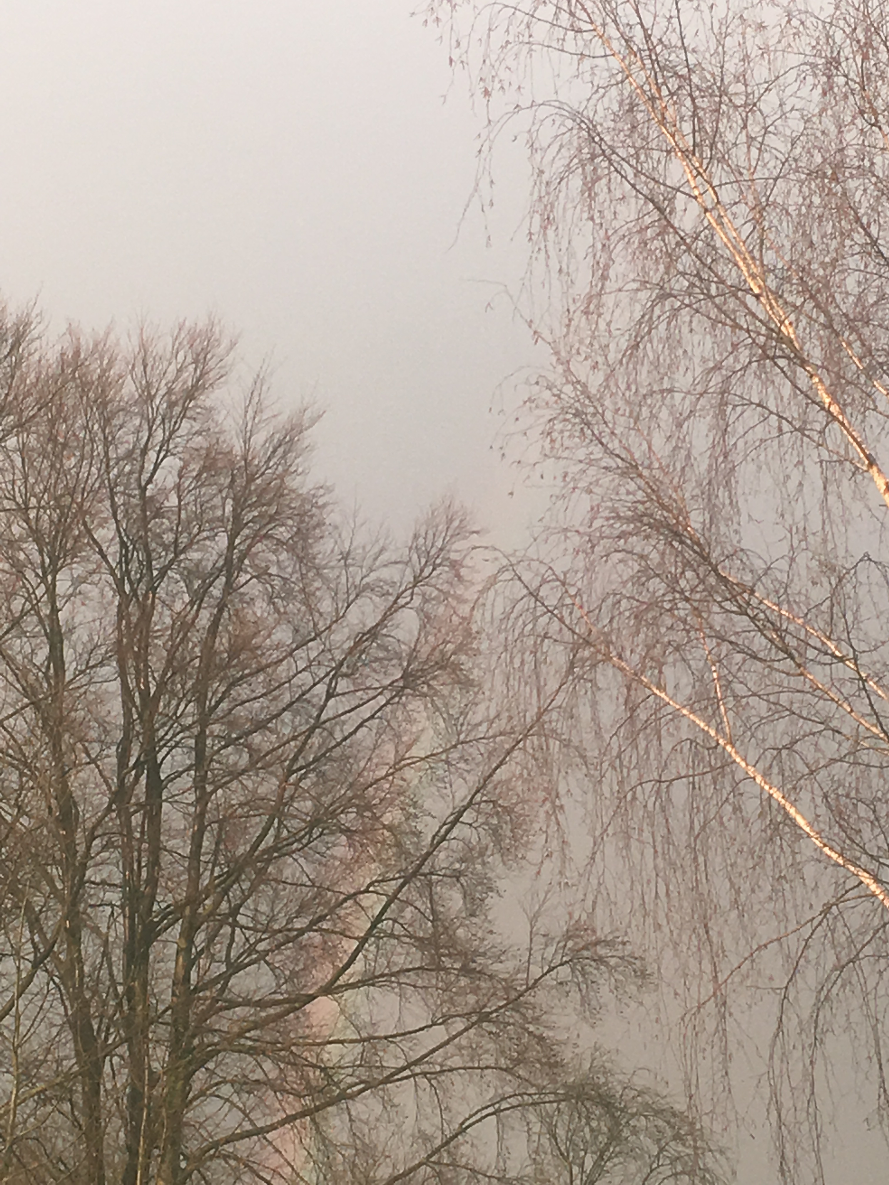 EB255518-B2A7-46FE-BFD5-4A7CBD050EB9