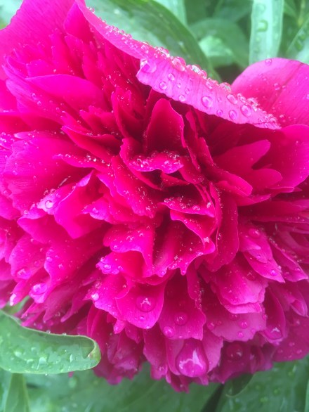 1AF9D0B6-76B0-44AC-B5CC-7011A64F1304