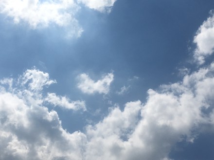 29B74437-B88B-43DD-95D6-1C288266BE9F