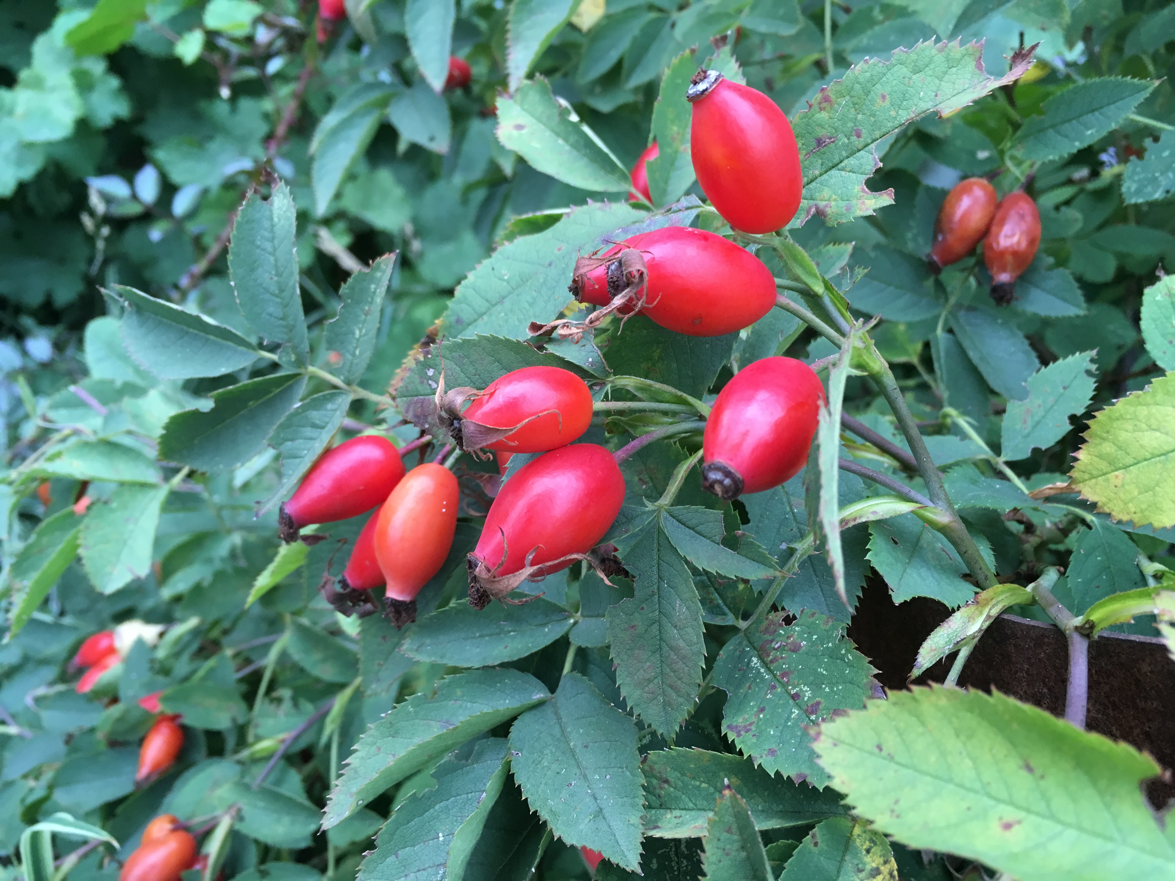 E9581FAF-7FA4-4C08-BB97-DE89985DA5F9